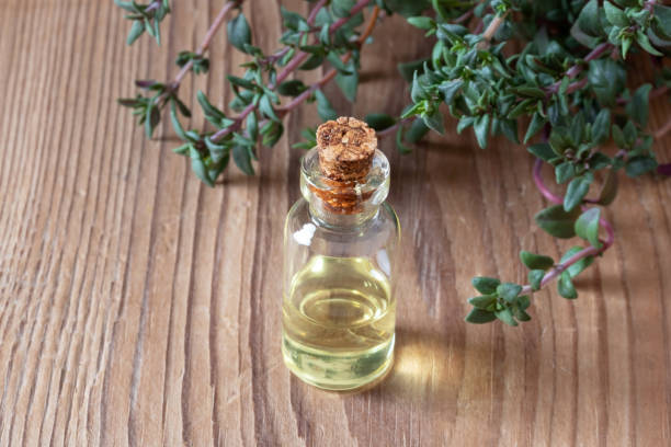 istock A bottle of thyme essential oil with fresh thyme 1135828273