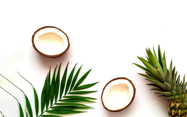 istock Tropical background with pineapple and coconut  on isolated white background. 1135831291