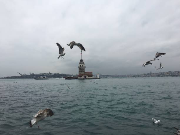 istock Girl tower birds against the sky 1135833202