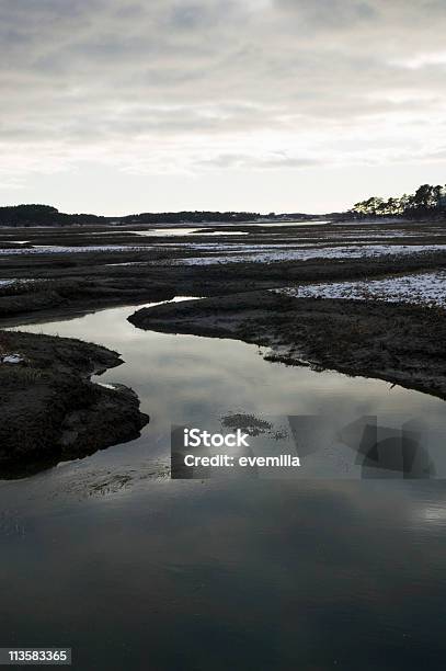 소금 Marsh At Dusk 0명에 대한 스톡 사진 및 기타 이미지 - 0명, 경관, 고요한 장면