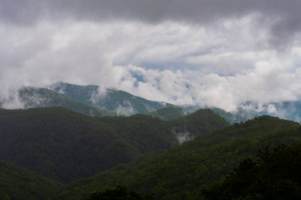 istock Rain Clouds Cover Dark Green Mountain Tops 1135835326
