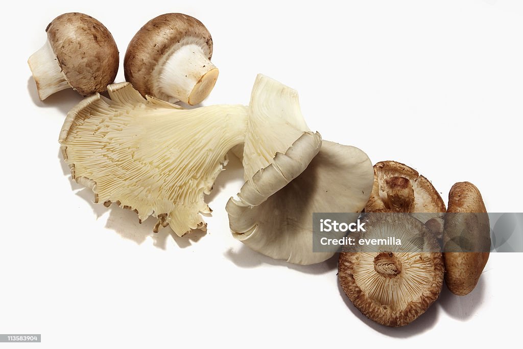 Грибы - Стоковые фото Съедобный гриб роялти-фри