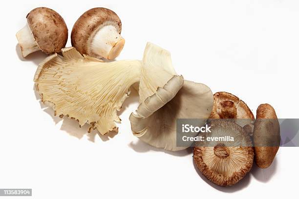 Грибы — стоковые фотографии и другие картинки Съедобный гриб - Съедобный гриб, Вариация, Белый фон