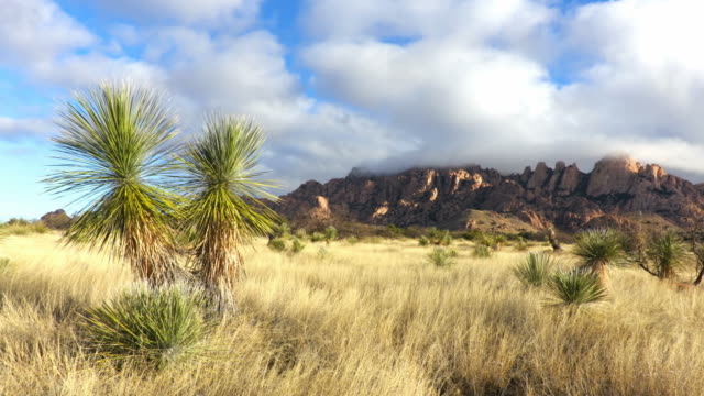 Dragoon Mountains in Southern Arizona