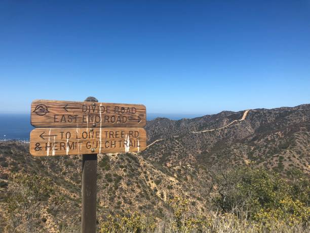 istock Mountainous Hiking Trail 1135844876