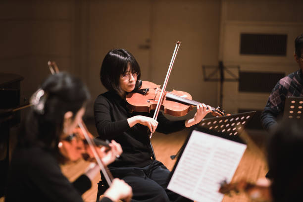 concierto de música clásica - violin women violinist music fotografías e imágenes de stock
