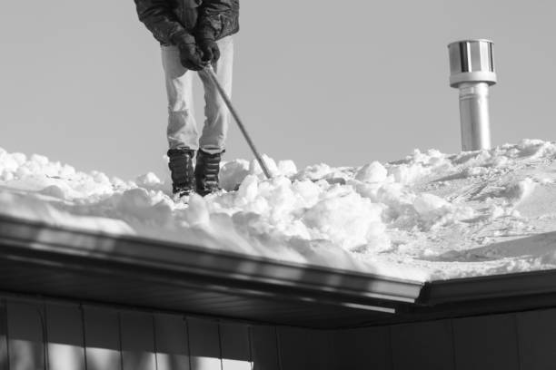 istock Shoveling Snow Off A Roof 1135848312