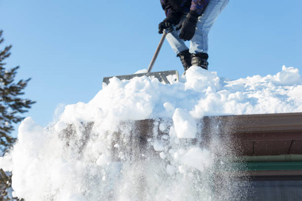 istock Shoveling Snow Off A Roof 1135848316