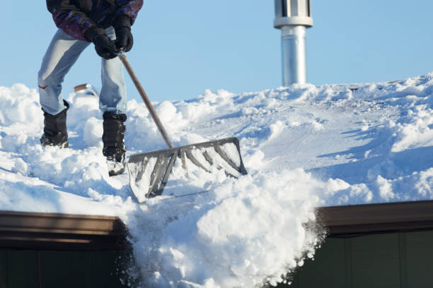 istock Shoveling Snow Off A Roof 1135848427