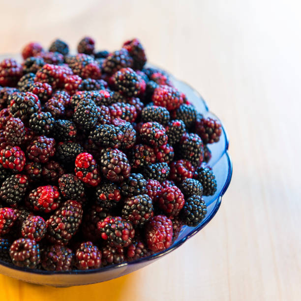 istock Wild Blackberry Bowl Overhead 1135852078