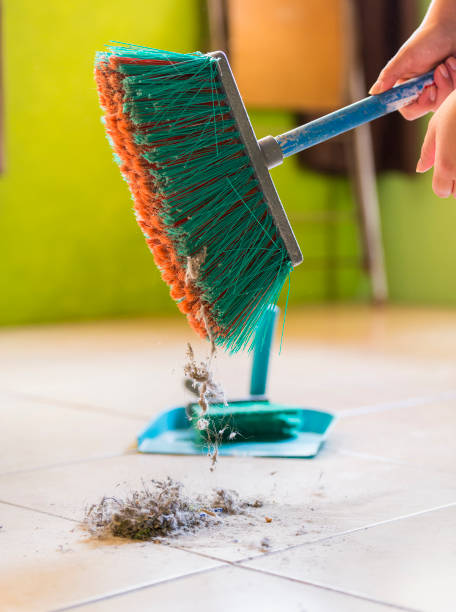 istock Woman House Cleaning 1135852919
