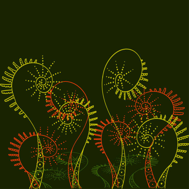 illustrazioni stock, clip art, cartoni animati e icone di tendenza di felce colorata su un bacground verde - fractal fern