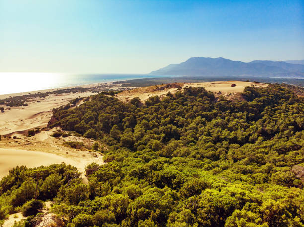 istock Aerial View of Patara Beach 1135857921