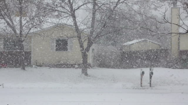 Denver snowy windy winter blizzard Colorado neighborhood homes