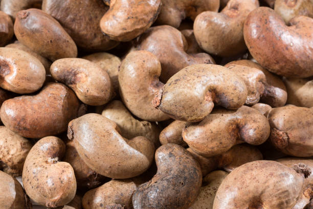 istock The cashew is a dry fruit with many properties and nutrients highlighting its great content in the mineral Selenium which is a great antioxidant 1135870150