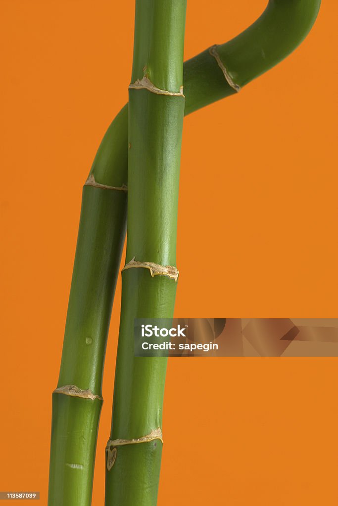 Due rami di bambù - Foto stock royalty-free di Arancione