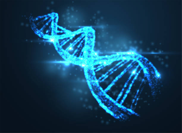istock Abstract luminous DNA molecule, neon helix on blue background. Medical science, genetic, biotechnology, chemistry, biology. 1135874960