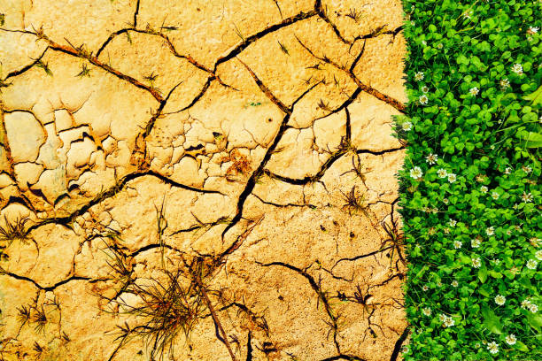 istock Effect of Global Warming. Climate change dying earth. 1135881246