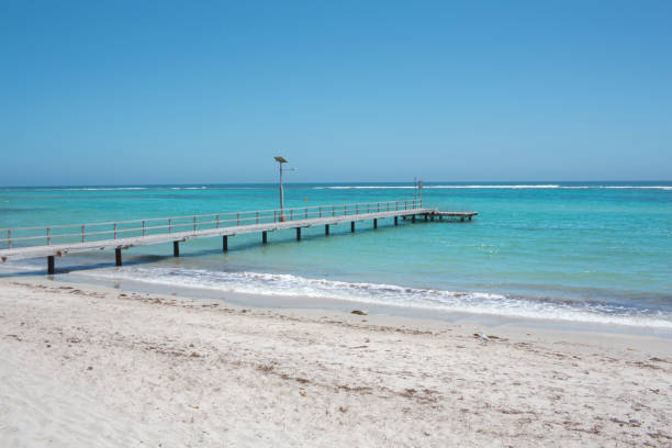 istock Pier at Horrocks Beach, Western Australia, Australia 1135886768