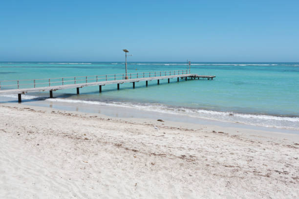 istock Pier at Horrocks Beach, Western Australia, Australia 1135886769