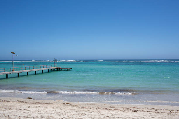 istock Pier at Horrocks Beach, Western Australia, Australia 1135886815