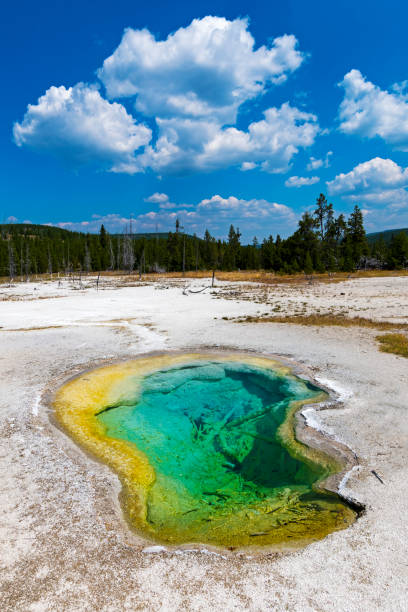 istock Hot Springs, yellow, green 1135887547