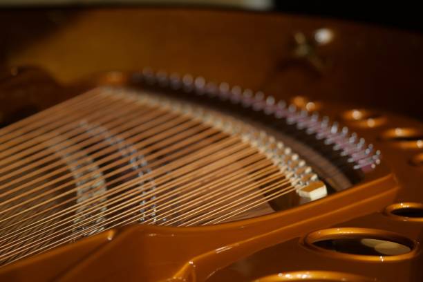 grand piano at small hall - piano interior imagens e fotografias de stock