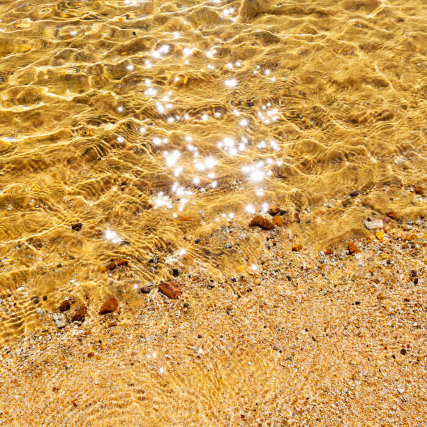 istock Sun stars in the clear water 1135894884