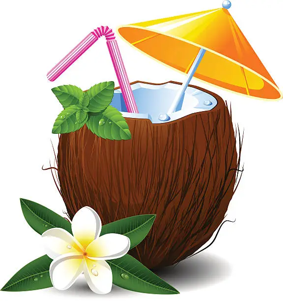Vector illustration of Exotic coconut cocktail