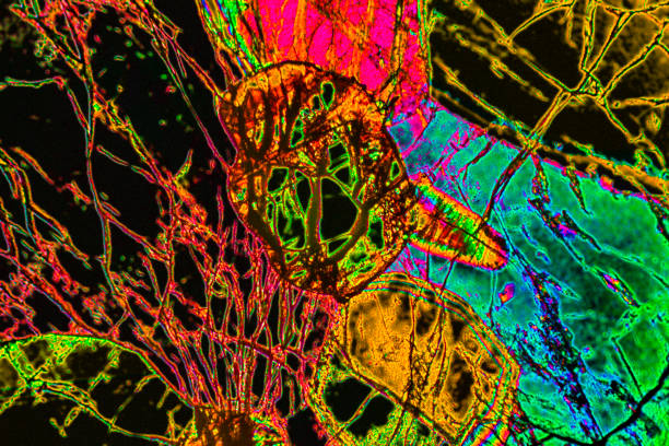 istock Digitally manipulated, abstract micrograph of olivine pyroxenite with polarization. 1135898871