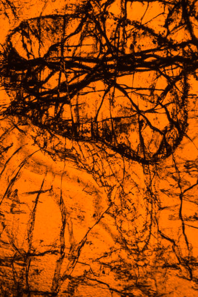 micrographe abstrait, manipulé numériquement, de pyroxénite à olivine avec polarisation. - scientific micrograph science bee abstract photos et images de collection