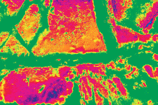 Bright green, red, and yellow, abstract micrograph of the mineral olivine pyroxenite, viewed with a polarizing microscope at 200x and digitally manipulated in post-processing.