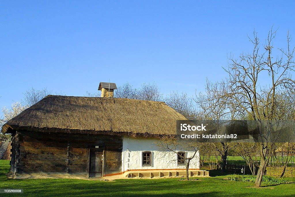 Thatched roof house  Ancient Stock Photo