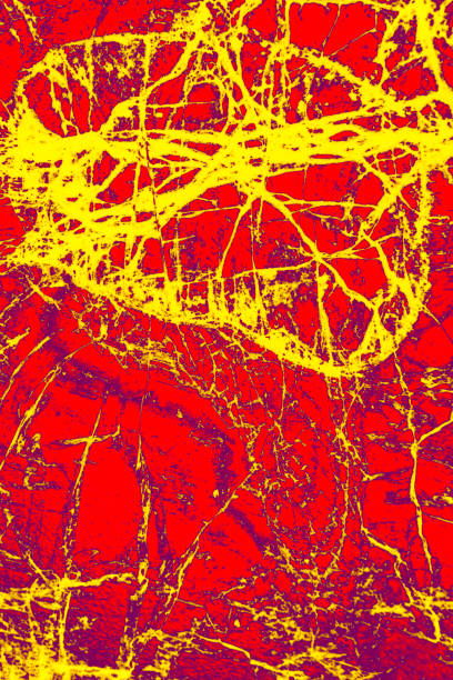 micrographe abstrait, manipulé numériquement, de pyroxénite à olivine avec polarisation. - scientific micrograph science bee abstract photos et images de collection