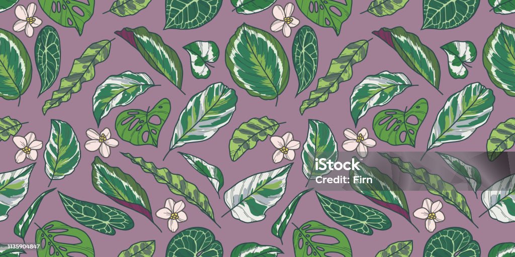 Seamless pattern with tropical Calathea, Pothos and Monstera plant leaves and flowers on purple background Seamless pattern suitable for textitle or paper designs Anthurium stock illustration