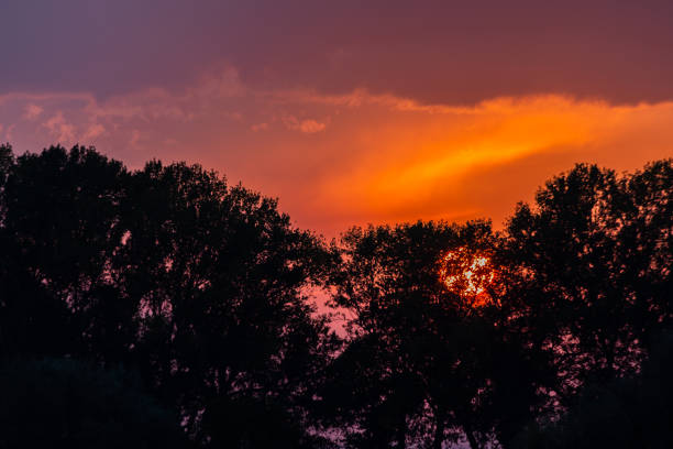 Sunset with sun coming down some trees silhouette and a beautifully coloured sky.