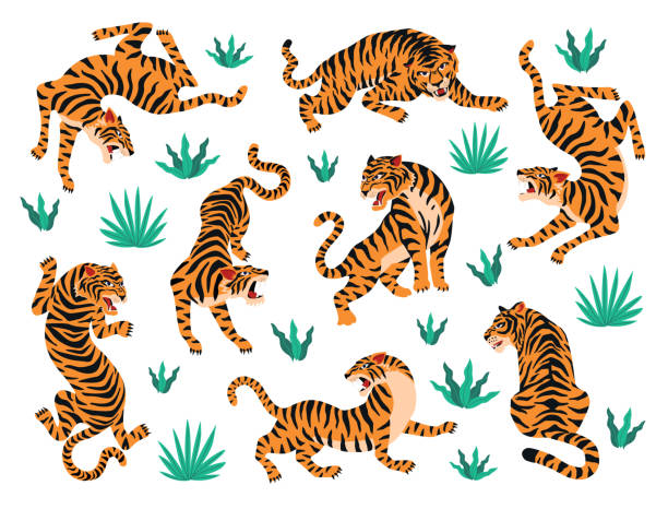 stockillustraties, clipart, cartoons en iconen met vector set van tijgers en tropische bladeren. trendy illustratie. - tiger