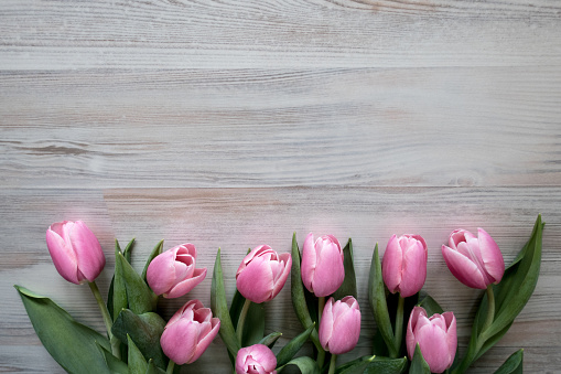 Easter Frame of  Pink Tulips on  Wooden Background