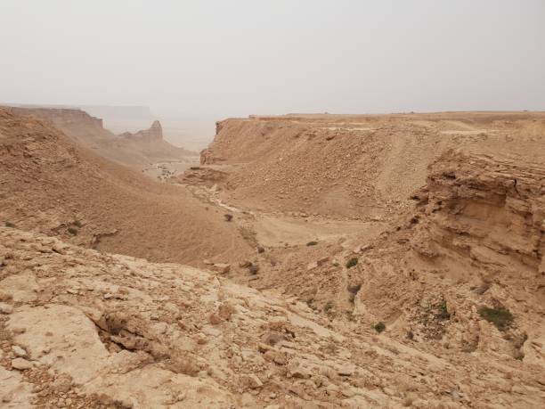istock The Saudi Arabian Desert 1135912182