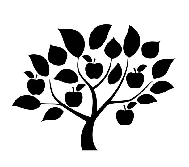 ilustraciones, imágenes clip art, dibujos animados e iconos de stock de ilustración de manzano - árboles frutales