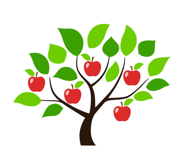 apple-illustration - apfelbaum stock-grafiken, -clipart, -cartoons und -symbole