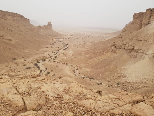 istock The Saudi Arabian Desert 1135912326