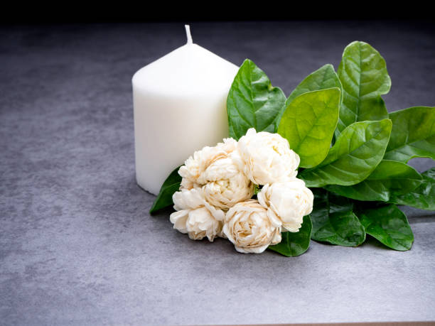 istock Jasmine flowers and candles on a black background 1135915637