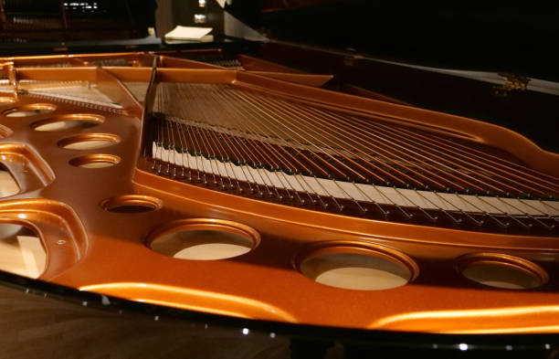 istock Grand Piano at small hall 1135919247
