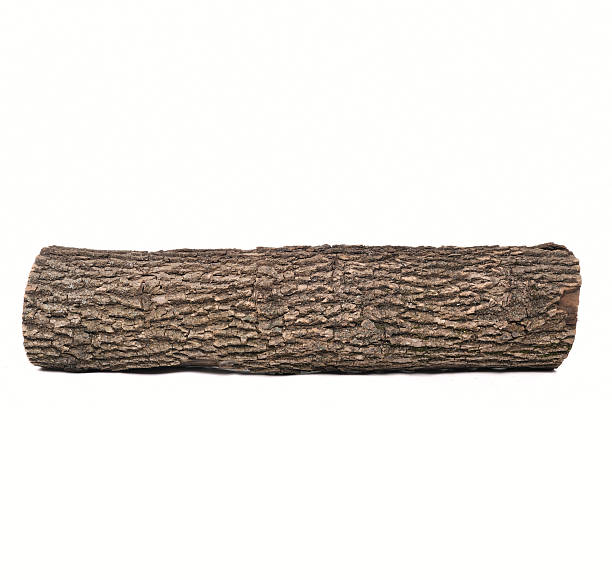 close-up di stub log in legno isolato con trama - ceppo foto e immagini stock