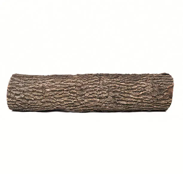 Close-up of isolated stub log with wooden texture isolated on white background