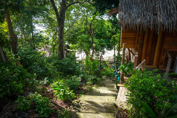 istock Traditional tropical hut in Koh Lipe, Thailand 1135926742