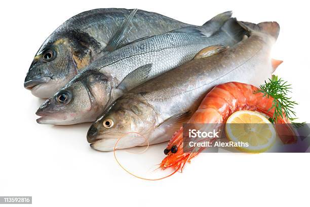 Foto de Frutos Do Mar e mais fotos de stock de Perca-do-Mar - Perca-do-Mar, Alimentação Saudável, Animal