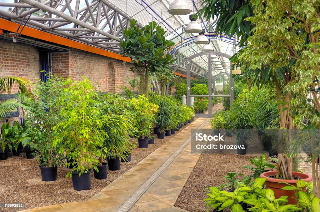 Plantas com moderno efeito de estufa - Foto de stock de Estufa royalty-free