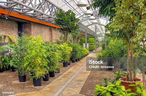 Foto de Plantas Com Moderno Efeito De Estufa e mais fotos de stock de Estufa - Estufa, Grande, Equipamento de Iluminação